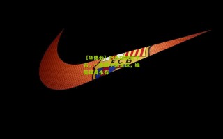 【华体会】迟尚斌同志千古，一生献中国足球，绿茵风骨永存