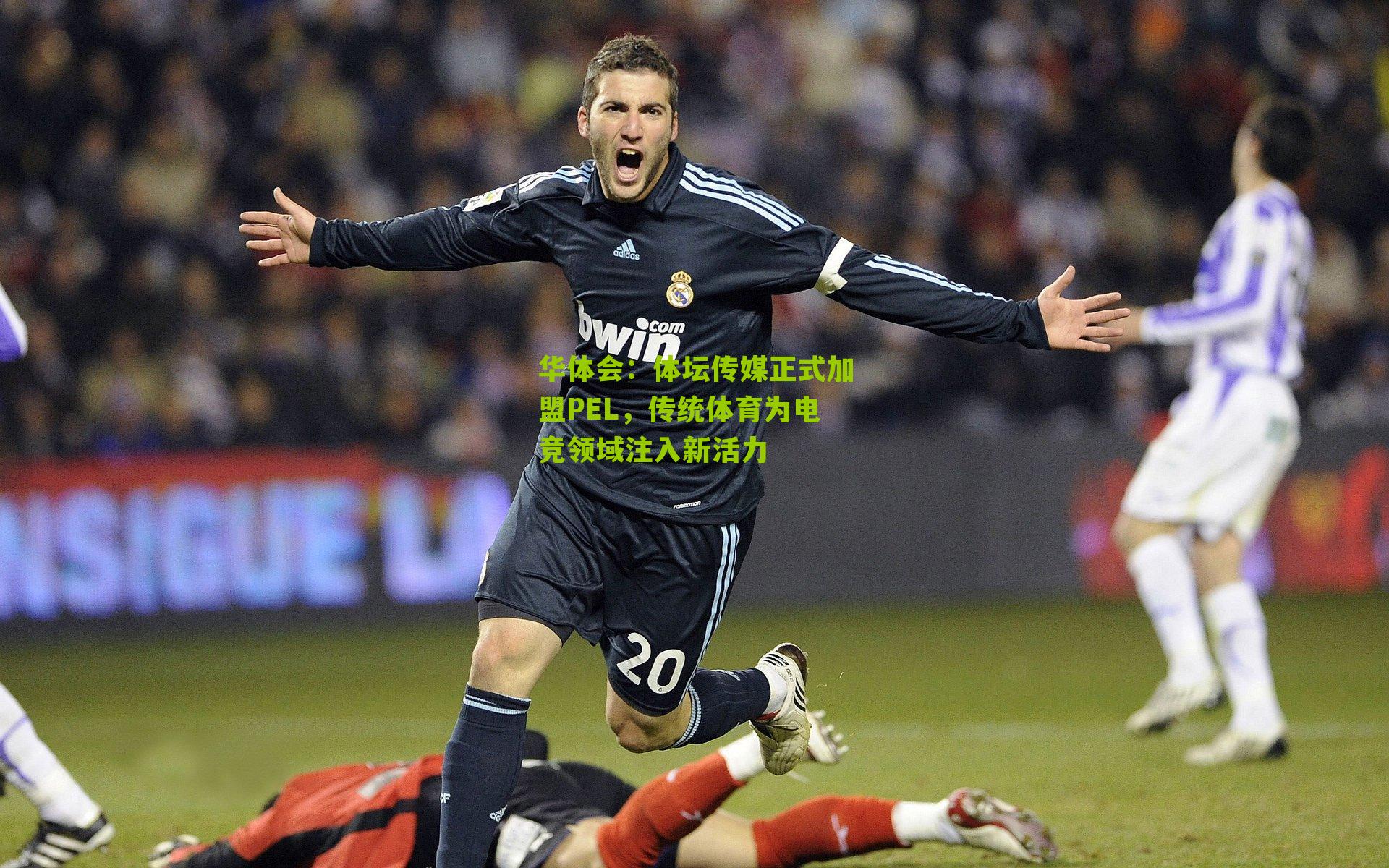 华体会：体坛传媒正式加盟PEL，传统体育为电竞领域注入新活力-第1张图片-华体会官网—专业体育赛事与在线体验